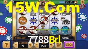 Premium Interface 7788Brl
